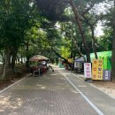 쉼터포장마차 | 과천 대공원역 야장 포장마차 쉼터 솔직후기