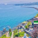 호남태양광발전소 이미지