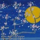 만월야도화 이미지