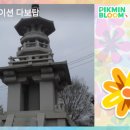 다이소굴화점