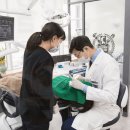 올바름치과의원 이미지