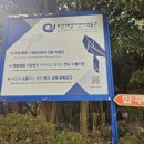 시실로 | 마산·창원·김해 근교 아이랑 가기 좋은 26년 부산해양자연사박물관 기획전 후기