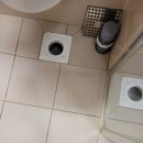 수원-1446 이미지