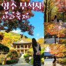부석마트 | 경북 단풍 명소 영주 부석사 무량수전 (사과축제 시나노 골드 구매 후기)