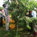 능주면사무소 이미지