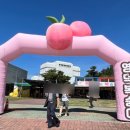 남산1리마을회관 이미지
