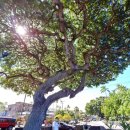 주립농장 이미지