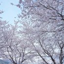 달성군유가면한정보건진료소 이미지