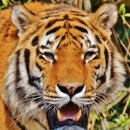 영원약국 이미지