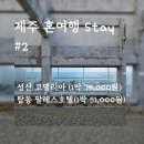 팔레스여관 | 2편-제주 혼여행 숙소 서귀포 코델리아호텔, 탑동 팔레스호텔. 도쿄와 하코네(온천) 5만원 이하 숙소 소개