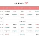 스컬휘트니스 이미지