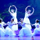 수원발레축제 이미지