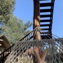 모글리하우스 | 아껴먹는 사탕처럼