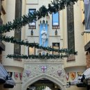 바다하우스 호스텔 | 퍼스 여행 1 (킹스파크 피크닉 / 블루 보트 하우스 / 코트슬로우 비치)