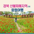 동해해상호텔(주) 이미지