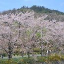 일범식당 이미지