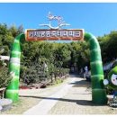 해영민박 이미지