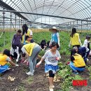 군산한일농장 이미지