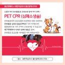 동물병원 WITH-PET 이미지