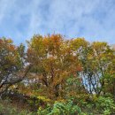 옥계 백봉이네 이미지