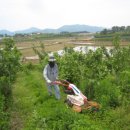 무수농장 이미지