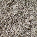 길금농장 이미지