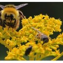 김영곤 농장 이미지