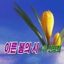 이른 봄의 시 / 詩 천양희 이미지