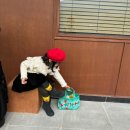 브라운힐프 이미지