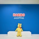 해피관광렌터카 이미지