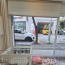 뽀송하댕 | 용인애견미용 뽀송하댕 방문한 후기