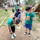 수봉공원 (유아숲체험원) 이미지