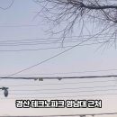 삼풍로-1 이미지