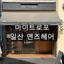 마이트로포 - 31821 | 마이트로포