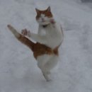 브라운도트천안역점 이미지