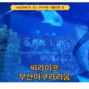 주식회사 우림 | 부산아쿠아리움 할인 여행특공대 티켓으로 다녀온 해운대 실내 나들이 후기