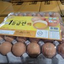 횡성양계 이미지