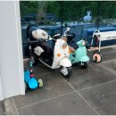 스테이 명암 이미지