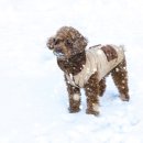 소랑동물병원 이미지