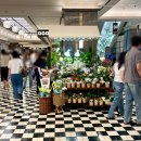 바나플라워 | 신세계강남꽃집 추천 고속터미널꽃집 바나플라워 신세계백화점 강남점 꽃다발 후기