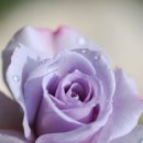 컴퓨터수리점 네이버블로그
