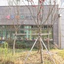 신동아파밀리에 공인중개사사무소 이미지