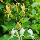 어진농장 이미지