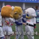누리 이미지