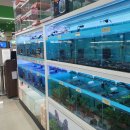 우진아쿠아 이미지