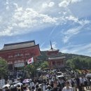 행정사 다인 이미지