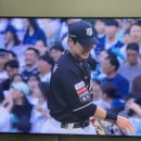 야옹아 멍멍해봐(수원 구운점) | 8월。다 때가 있다