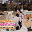 이하영농장 이미지