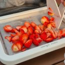 양심농장 | 다인이네 딸기 체험 농장; 서울 근교 딸기체험 후기