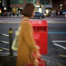 주광농장 | Leica 35mm summicron-m, 1st : 8 elements (1958-1969)